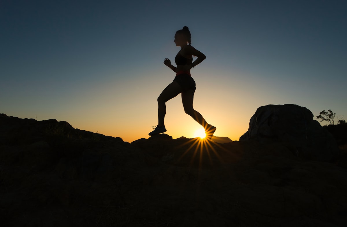Beginner fitness guide